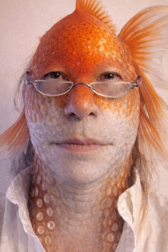 Goldfisch